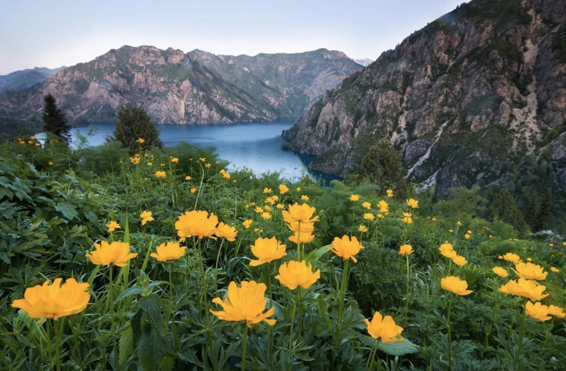 Sary Chelek Lake