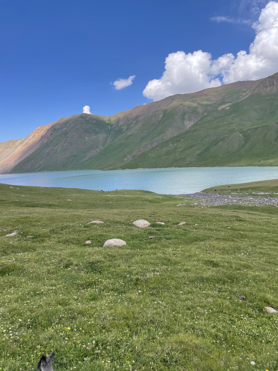Kol Ukok lake